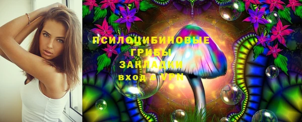 ECSTASY Медвежьегорск