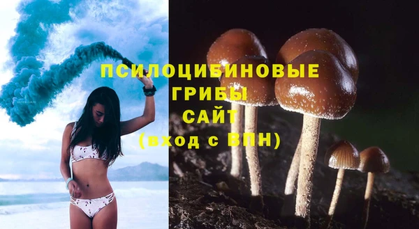 ECSTASY Медвежьегорск